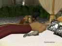 Filename=106~0.jpg
Filesize=132KiB
Dimensions=960x720
Date added=Feb 28, 2012 106~0.jpg
